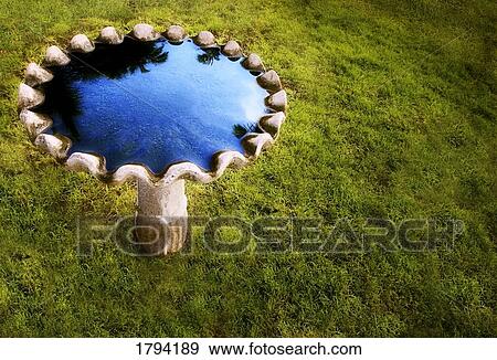 Stock Photo - Bird bath. Fotosearch