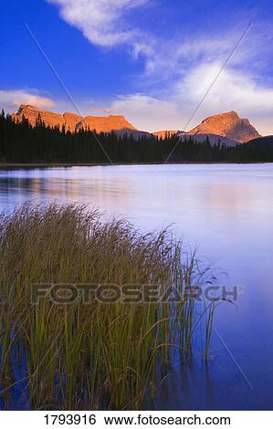 Bow Lake and Cascade Mountain in Banff View Large Photo Image Stock Photograph - Bow Lake and Cascade Mountain in Banff. Fotosearch