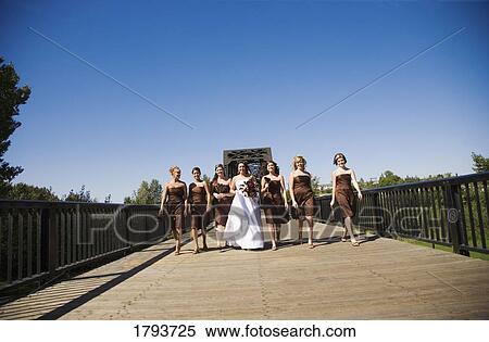 Bride and bridesmaids View Large Photo Image Stock Photography - Bride and bridesmaids. Fotosearch