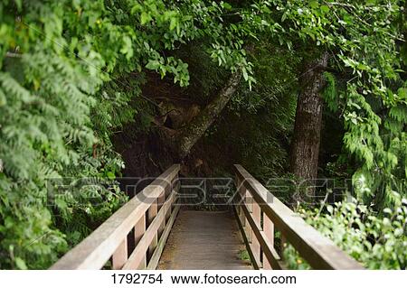 Bridge in Bamfield View Large Photo Image Picture - Bridge in Bamfield. Fotosearch