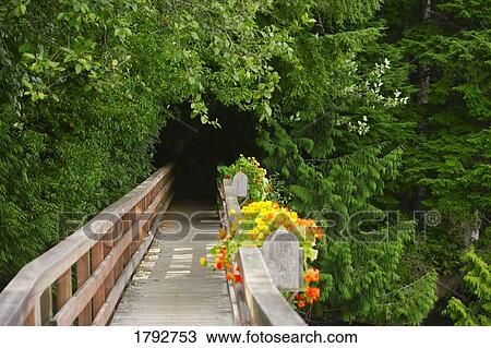 Bridge in Bamfield View Large Photo Image Stock Image - Bridge in Bamfield. Fotosearch