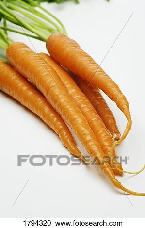 Stock Image - Bundle of fresh carrots. Fotosearch