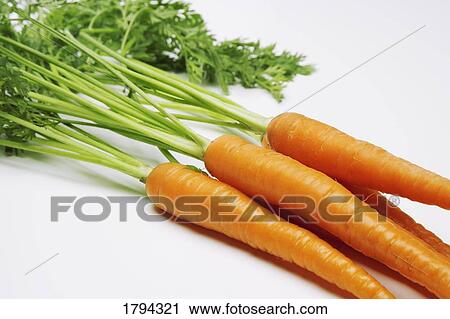 Stock Image - Bundle of fresh carrots. Fotosearch