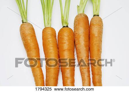 Carrots View Large Photo Image Stock Photography - Carrots. Fotosearch