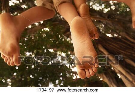 Stock Photo - Children climbing trees. Fotosearch