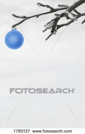 Stock Photo - Christmas ornament on a tree. Fotosearch