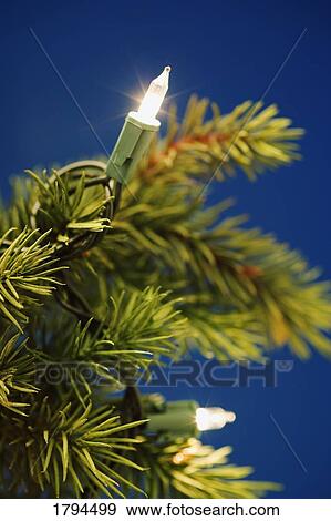 Christmas tree lights View Large Photo Image Stock Photo - Christmas tree lights. Fotosearch