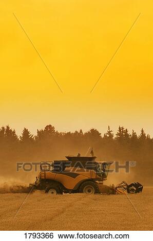Stock Photograph - Combining field. Fotosearch