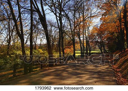 Stock Image - Country road. Fotosearch