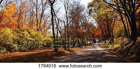Country road View Large Photo Image Stock Photograph - Country road. Fotosearch