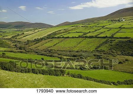 Stock Image - Countryside in Ireland. Fotosearch