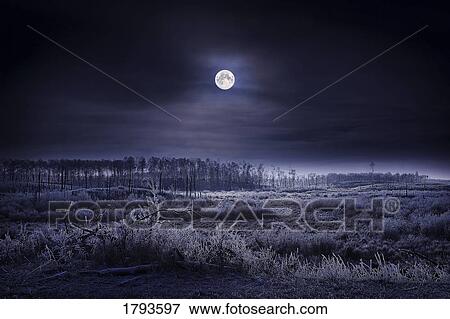 Stock Photo - Evening winter scene. Fotosearch