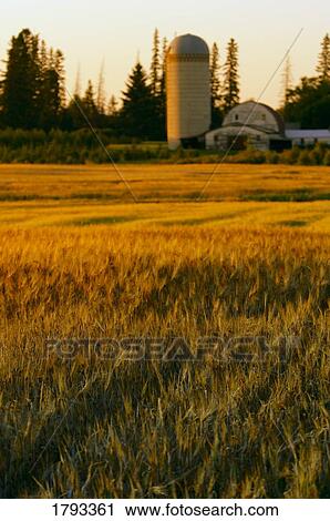 Farmland with silo in the distance View Large Photo Image Stock Image - Farmland with silo in the distance. Fotosearch