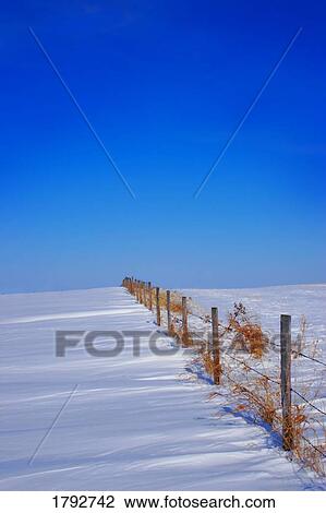Stock Image - Fence line in winter. Fotosearch