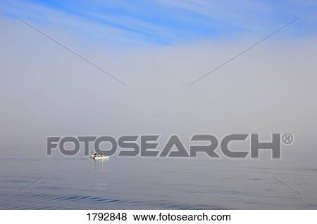 Fishermen out on boat View Large Photo Image Stock Photo - Fishermen out on boat. Fotosearch