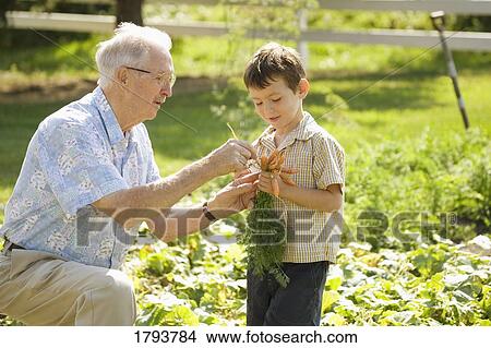 Grandfather guiding grandson in garden View Large Photo Image Picture - Grandfather guiding grandson in garden. Fotosearch