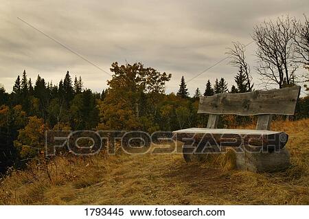 Log bench View Large Photo Image Stock Photography - Log bench. Fotosearch