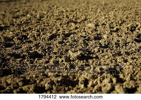 Macro of the ground View Large Photo Image Stock Image - Macro of the ground. Fotosearch