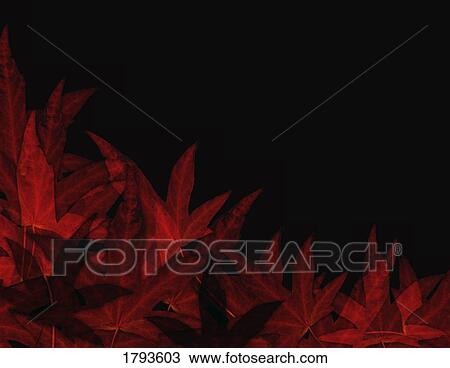 Maple leaf border View Large Photo Image Stock Image - Maple leaf border. Fotosearch