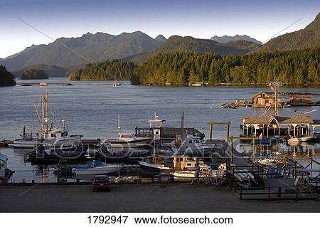 Marina, Tofino, Canada View Large Photo Image Stock Photo - Marina, Tofino, Canada. Fotosearch