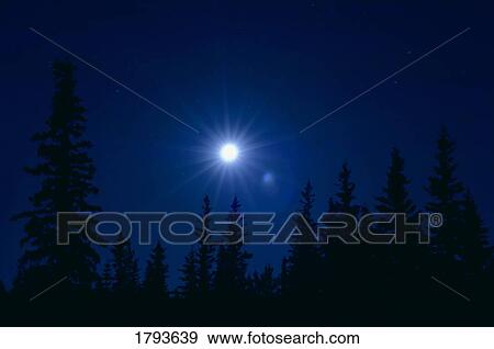 Stock Photo - Night scene. Fotosearch