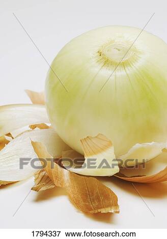Peeled onion View Large Photo Image Stock Photo - Peeled onion. Fotosearch