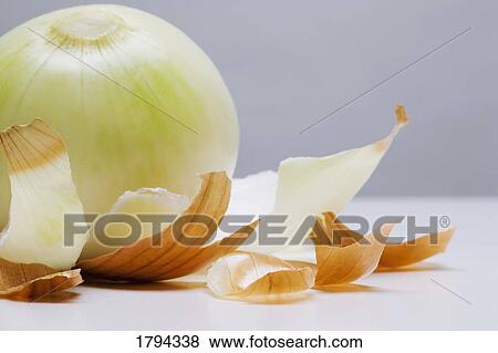 Peeled onion View Large Photo Image Stock Photo - Peeled onion. Fotosearch