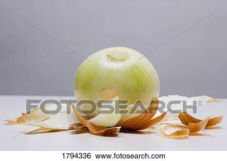 Peeled onion View Large Photo Image Stock Photograph - Peeled onion. Fotosearch