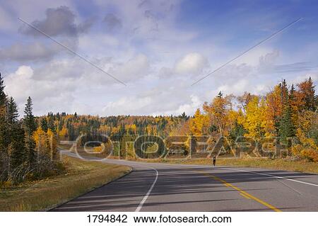 Person running on a road View Large Photo Image Stock Image - Person running on a road. Fotosearch