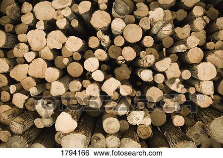 Piled logs View Large Photo Image Stock Photograph - Piled logs. Fotosearch