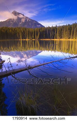 Picture - Pilot Pond in Banff. Fotosearch