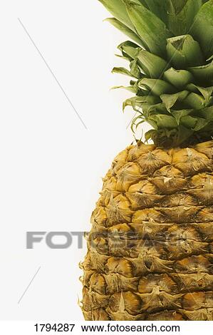 Pineapple View Large Photo Image Stock Photo - Pineapple. Fotosearch
