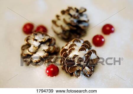 Stock Photo - Pinecones and berries. Fotosearch