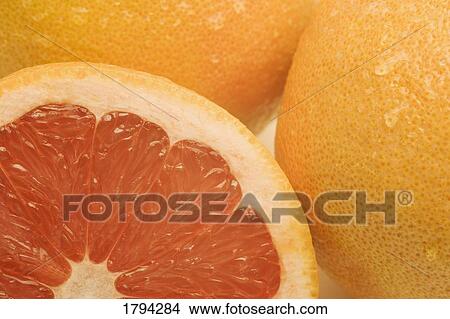Picture - Pink grapefruit. Fotosearch