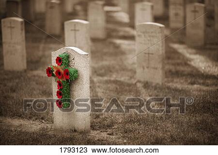 Poppy cross on tombstone View Large Photo Image Stock Image - Poppy cross on tombstone. Fotosearch