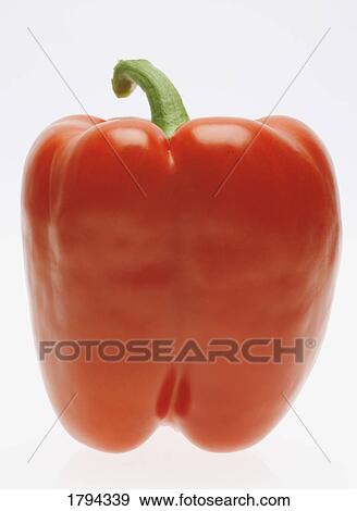 Stock Photo - Red pepper. Fotosearch