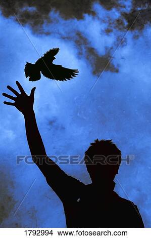 Releasing a bird View Large Photo Image Picture - Releasing a bird. Fotosearch
