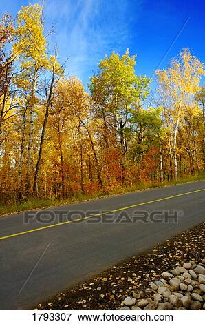 Road in autumn View Large Photo Image Stock Photo - Road in autumn. Fotosearch