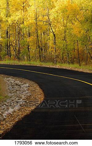 Stock Photograph - Road. Fotosearch