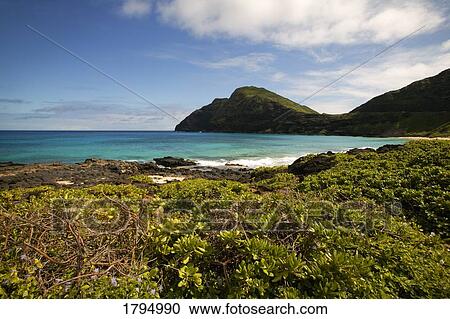 Scenic beach View Large Photo Image Stock Image - Scenic beach. Fotosearch