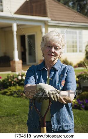 Picture - Senior woman gardening. Fotosearch - Search Stock Photos, Images, Print Photographs, and Photo Clip Art