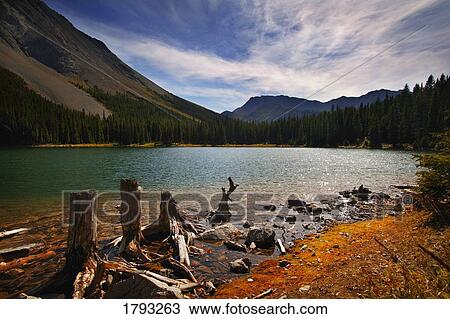 Shoreline of mountain lake View Large Photo Image Stock Image - Shoreline of mountain lake. Fotosearch