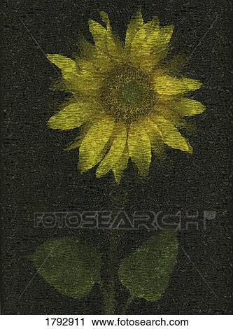 Sunflower View Large Photo Image Stock Image - Sunflower. Fotosearch