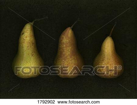 Three golden pears View Large Photo Image Stock Image - Three golden pears. Fotosearch