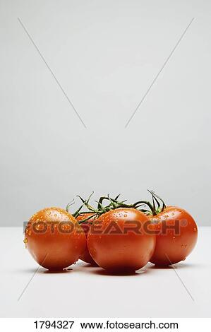Tomatoes View Large Photo Image Stock Photo - Tomatoes. Fotosearch