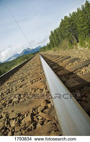 Picture - Train tracks. Fotosearch
