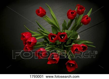 Vase of tulips on table View Large Photo Image Stock Image - Vase of tulips on table. Fotosearch
