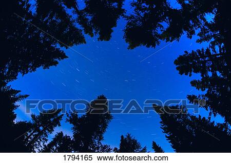 Stock Photography - View of the night sky. Fotosearch