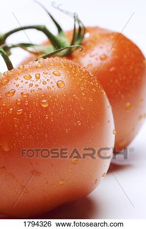 Stock Photograph - Vine tomatoes. Fotosearch
