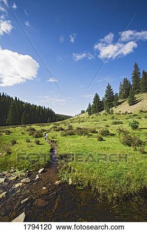 Wilderness landscape View Large Photo Image Stock Image - Wilderness landscape. Fotosearch